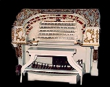 organs1.jpeg